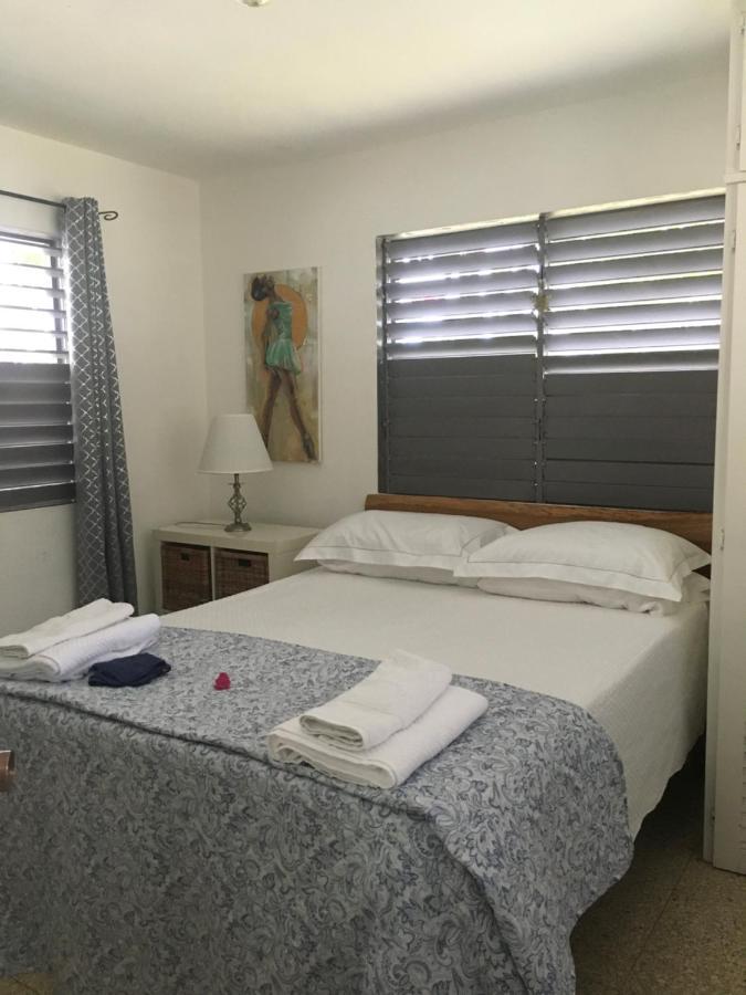 Ancella'S Garden Apartment-Beach-5Min Drive, 1 Hr Montego Bay, 25 Mins Ocho Rios, Continental Breakfast Рънауей Бей Екстериор снимка