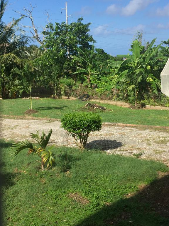 Ancella'S Garden Apartment-Beach-5Min Drive, 1 Hr Montego Bay, 25 Mins Ocho Rios, Continental Breakfast Рънауей Бей Екстериор снимка